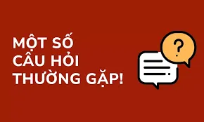 Top các câu hỏi thường gặp tại nhà cái Vin88 Top các câu hỏi thường gặp tại nhà cái Vin88